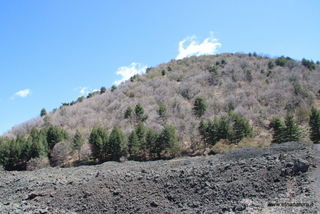 Monte Arso